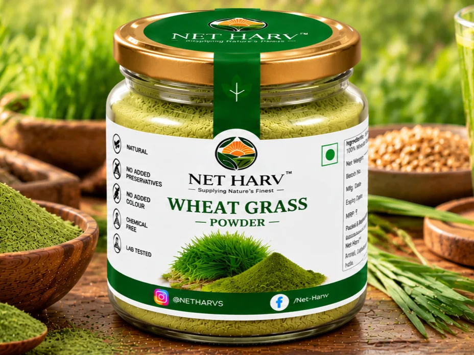 NET HARV WHEAT GRASS Powder